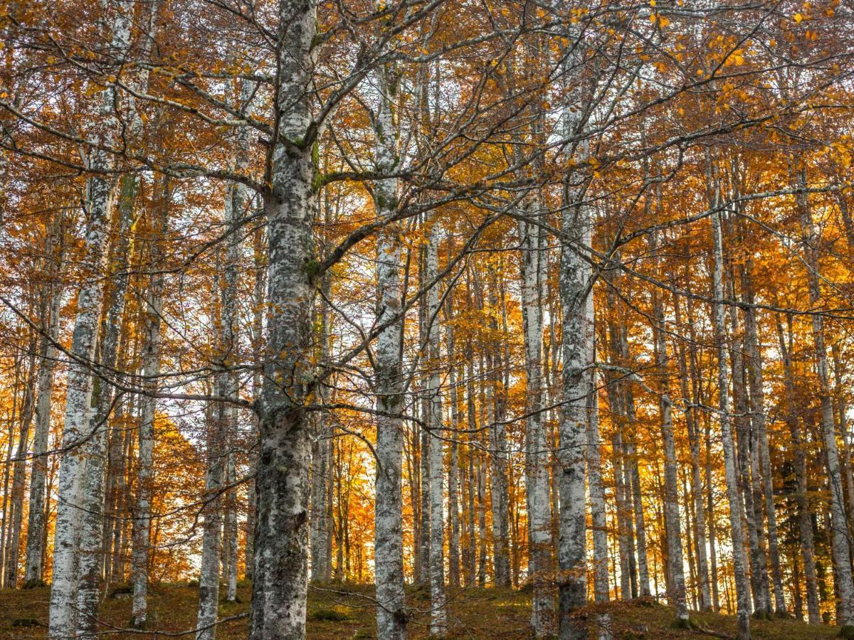 Appartamento A Due Passi Farra d'Alpago Kültér fotó